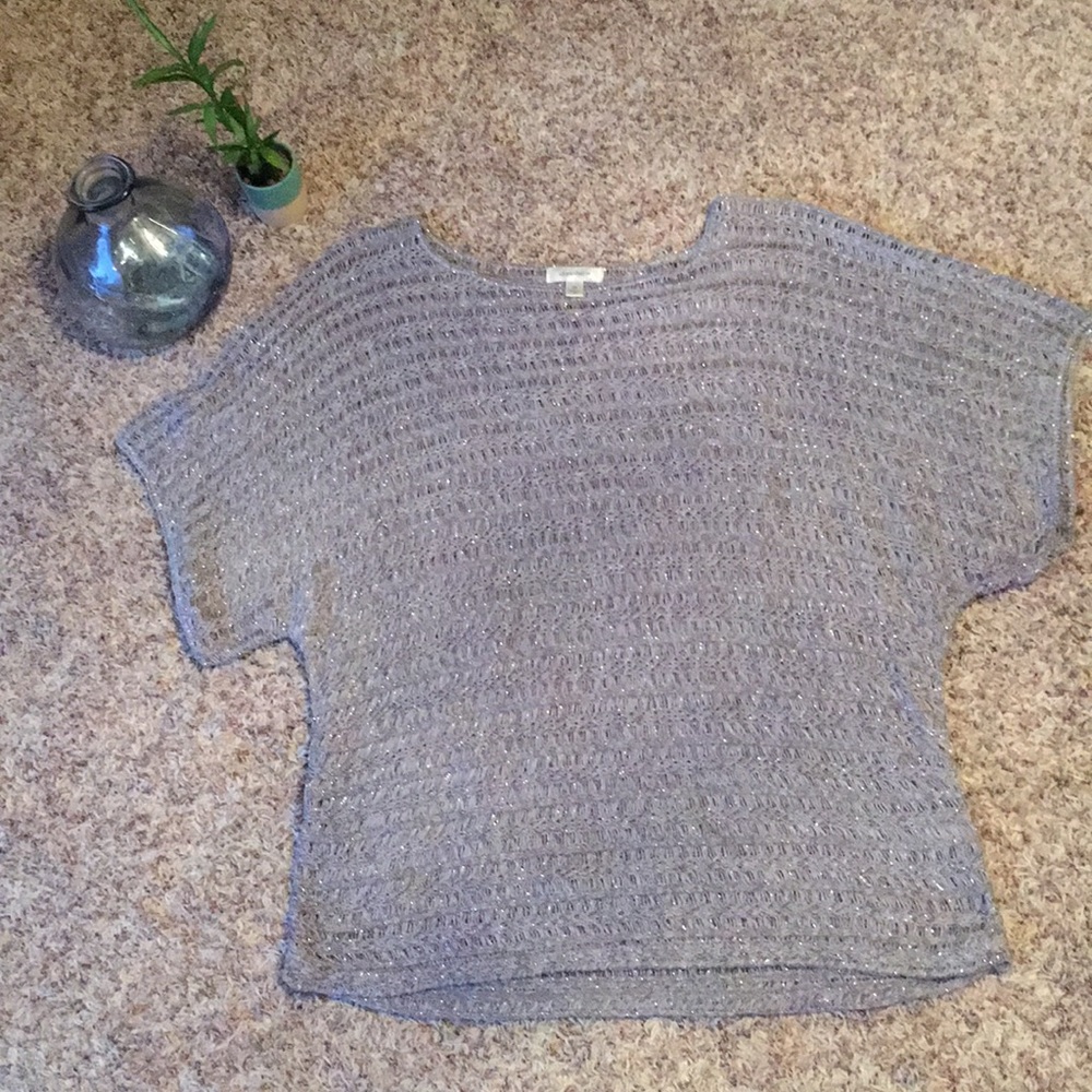dressbarn 1X Silver & Sparkly Sweater